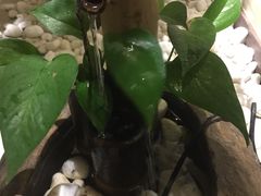 -小茶闲舍·观景商务茶馆(广州塔店)