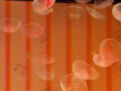 -沈阳海洋探索中心