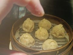 -应天大明王朝·南京菜创始店(中山陵店)