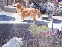 -双龙峡