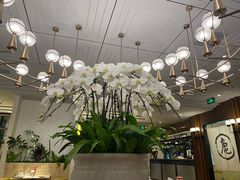 -鹿港小镇(霄云店)