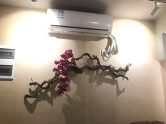 -耳艺采耳·足疗·按摩SPA(东圃店)