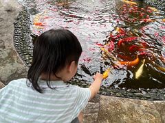 -成飞公园