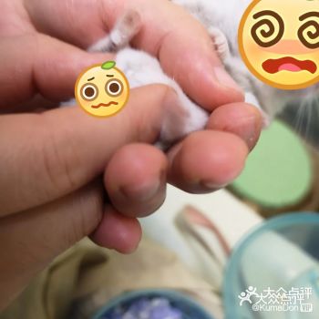 这是一篇发不出去的评价，就改成笔记了吧，感觉也确实更