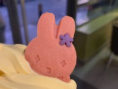 -麦当劳(双榆树店)
