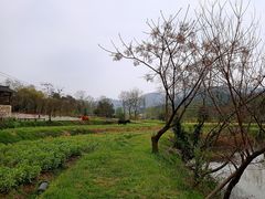-黄陂区野村谷景区
