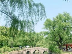 -上海共青森林公园