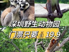 -深圳野生动物园