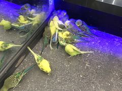 -昆明大悦城未来动物城(螺蛳湾中心店)