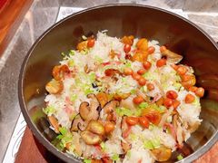 -禄婶鸡煲·打边炉