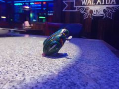童年玩具-蛙来哒(翔悦时代店)