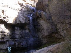 -鲁山国家森林公园