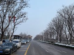 -茯茶镇