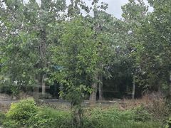 -白鹭湾湿地公园