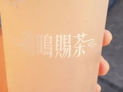 -鸡鸣赐茶(鸡鸣寺路店)