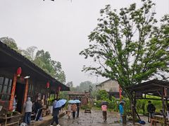 -常德桃花源景区