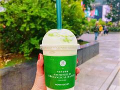 -茉酸奶(春熙路店)