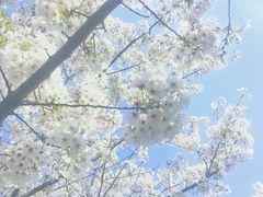 -苏州河梦清园环保主题公园