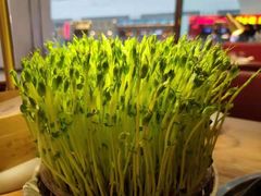 -好彩猪肚鸡(正弘城店)
