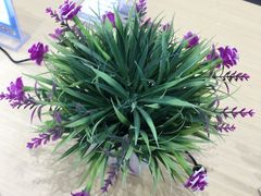 -Tasty Love唐乐(太白店)