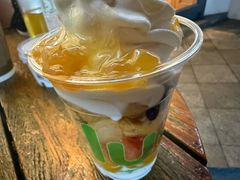 -Salud撒露欧洲冻酸奶(蓝色港湾店)