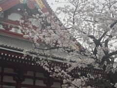 -浅草寺