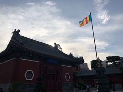 -天津大悲禅院