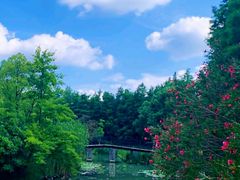 -营地公园·团建拓展·亲子户外(奉贤店)