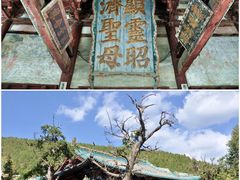 -晋祠公园