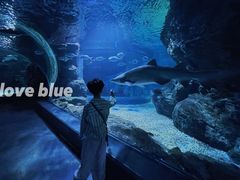 -暹罗海洋世界