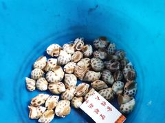 -蓝湾碧波·老字号·疍家非遗海上餐厅