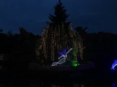 -哈尔滨文化公园