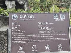 -都江堰中华大熊猫苑