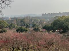 -无锡梅园公园