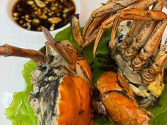 -聪辉同安老美食饭店(大元路店)