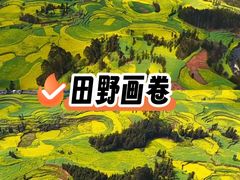 -牛街螺丝田