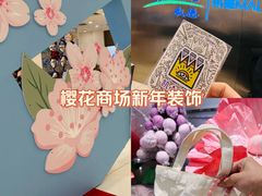 -凯德MALL(望京店)