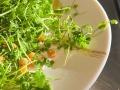 -No.DD戳子烧烤·江湖菜(北京总店)