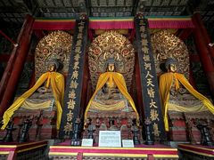 -普乐寺