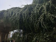 -府河摄影公园
