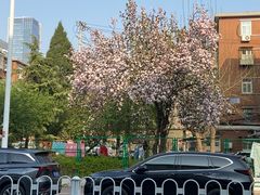 -天津五大道文化旅游区