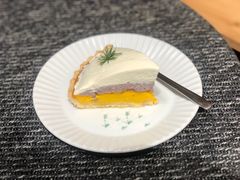 -猫里有甜
