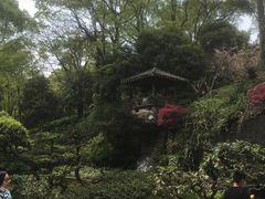 -南山植物园