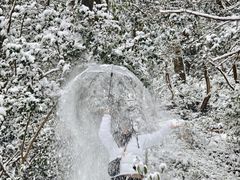 -黔灵山公园