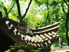 -天一阁博物院