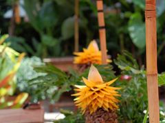 -拾光音乐餐酒吧(告庄星光夜市店)