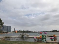 -桐乡凤凰湖