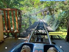 -藏龙百瀑风景区