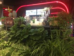 -大渝火锅(江都金鹰店)