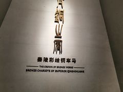 -秦始皇帝陵博物院-丽山园